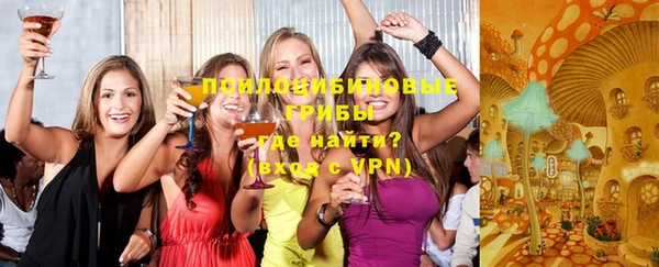 метадон Вяземский