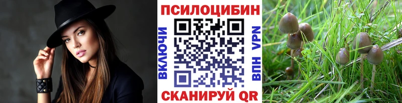 купить закладку  Губаха  Псилоцибиновые грибы ЛСД 